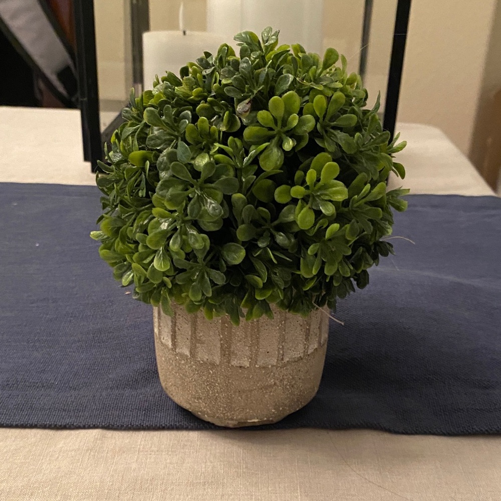 Green Boxwood Topiary in Textured Stone Pot - Home Accents